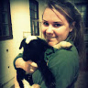 Meet your Posher, Katie